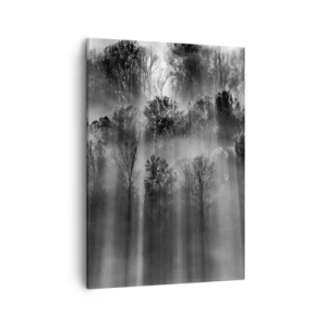 Cuadro sobre lienzo - Impresión de Imagen - Bosque blanco y negro a la luz de la mañana. - 50x70cm - En los flujos de luz - Decoración de pared moderna para salón y dormitorio ARTTOR