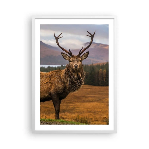 Póster en marco blanco - La majestuosidad de la naturaleza - 50x70 cm