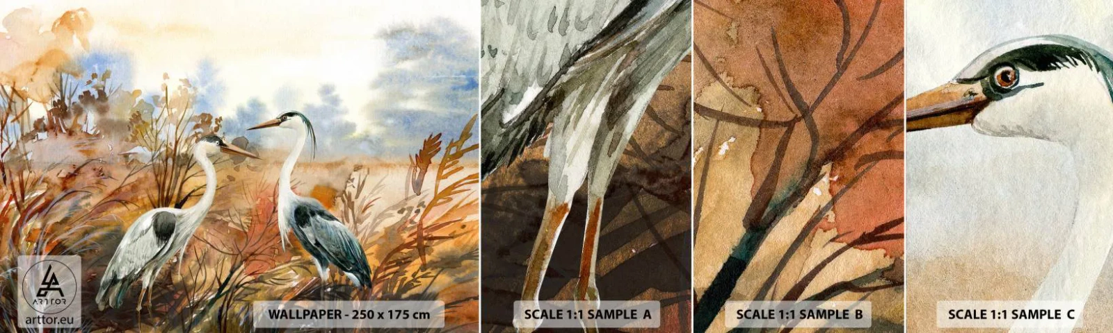 Muestra De Fotomural Standard Eco - ¿A dónde nos dirigimos en otoño? - Grua, Aves, Naturaleza - 100x30 cm