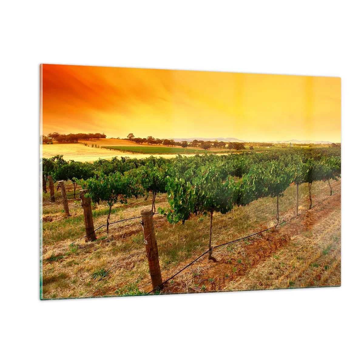 Cuadro sobre vidrio - Impresiones sobre Vidrio - Vides bajo la cálida luz del sol poniente - 120x80cm - Un trago del sol - Decoración de pared moderna para salón y dormitorio ARTTOR