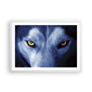 Póster en marco blanco - La mirada hipnótica - 70x50 cm