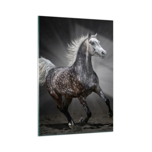 Cuadro sobre vidrio - Impresiones sobre Vidrio - Un caballo al galope sobre un fondo oscuro con efecto de iluminación. - 50x70cm - El gris es hermoso - Decoración de pared moderna para salón y dormitorio ARTTOR