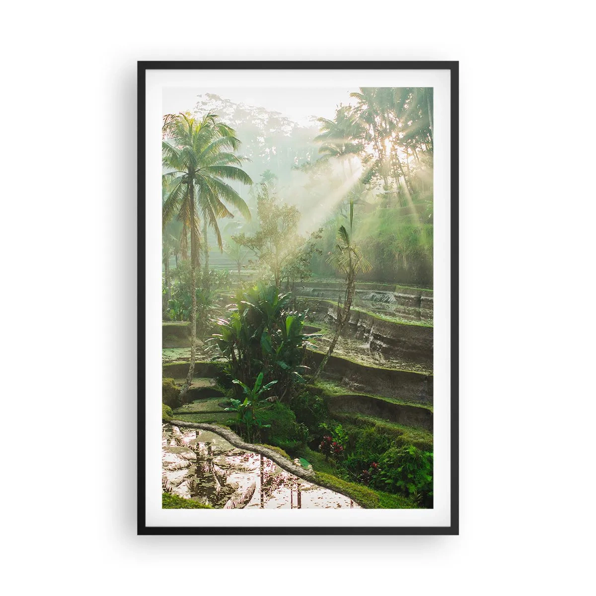 Póster en marco negro - Crecer bajo el sol - 61x91 cm