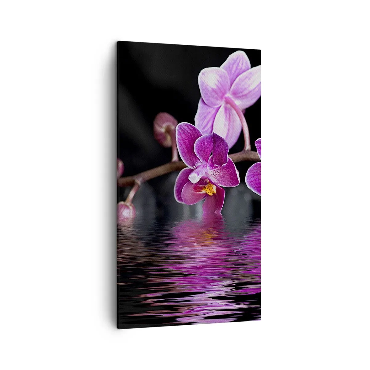 Cuadro sobre lienzo - Impresión de Imagen - Un reflejo lila de la belleza - 45x80 cm