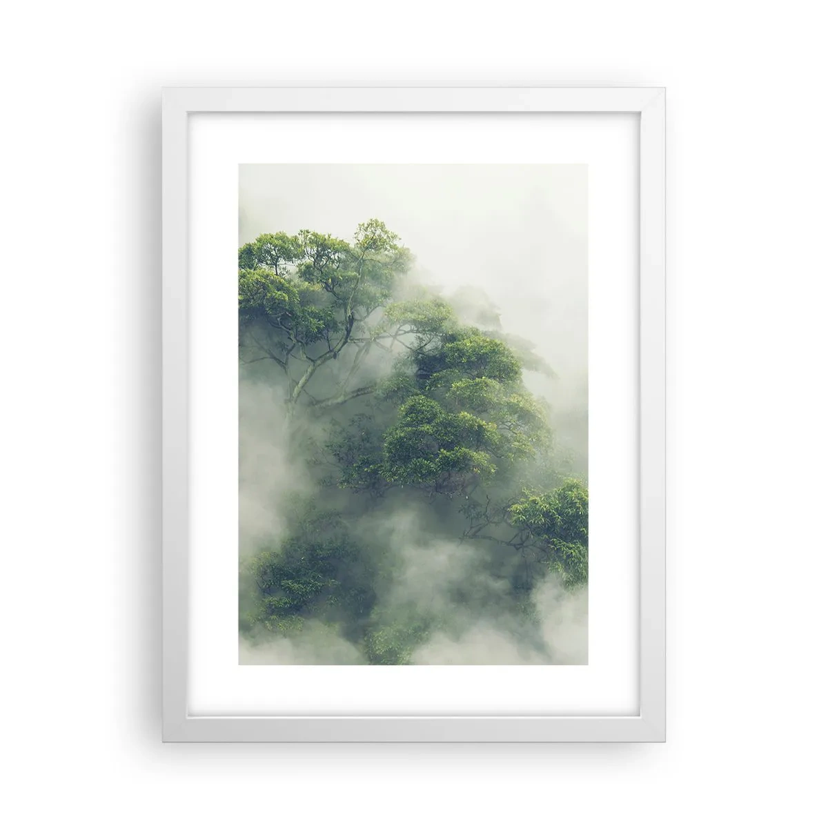 Póster en marco blanco - Envuelto en niebla - 30x40 cm