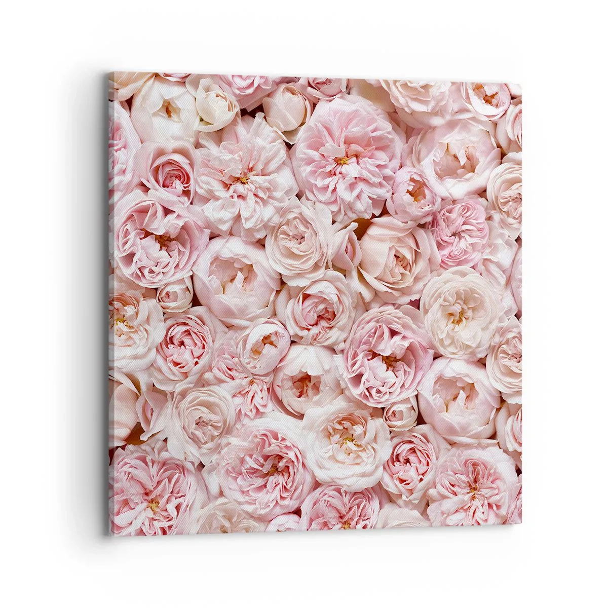 Cuadro sobre lienzo - Impresión de Imagen - Salpicado de rosas - 70x70 cm