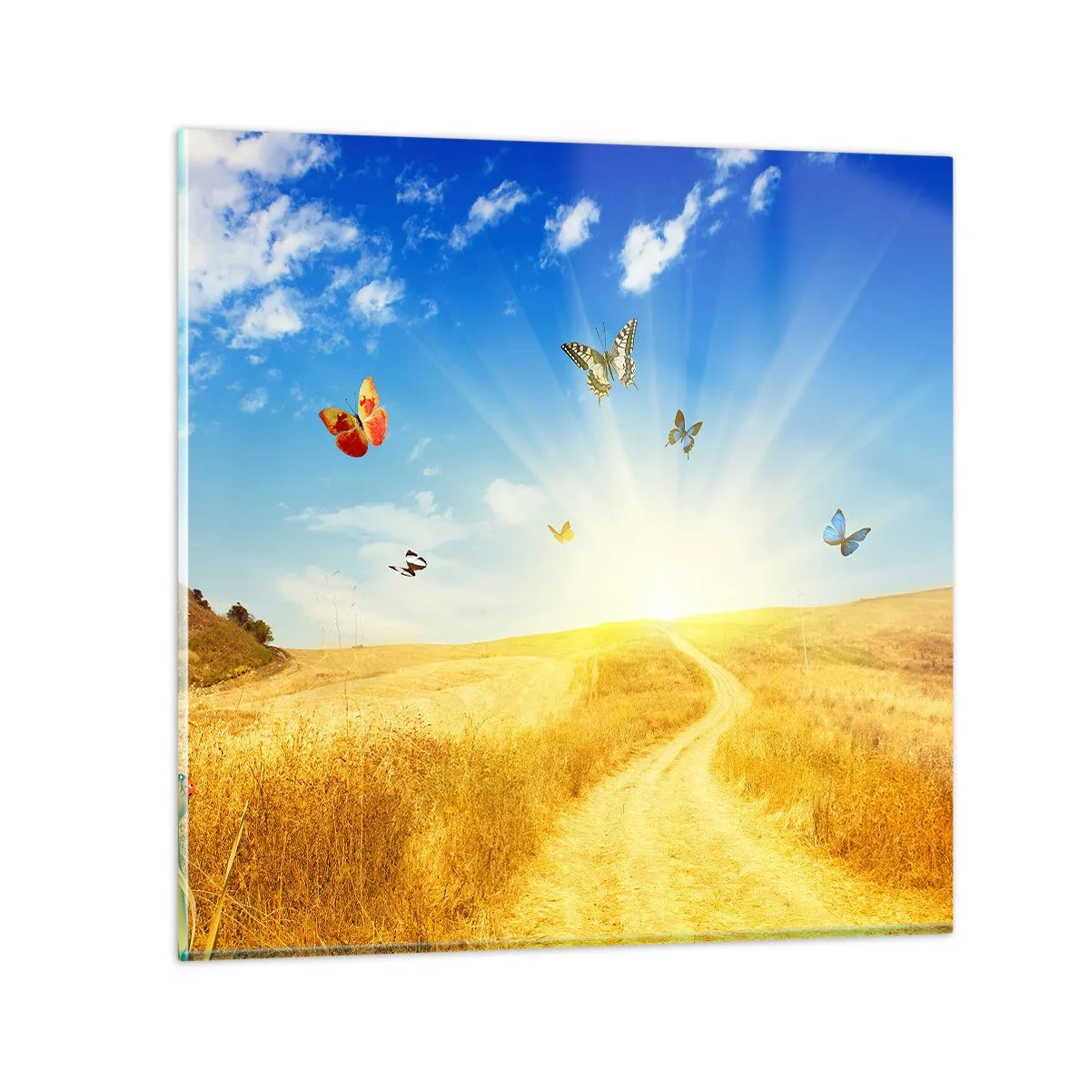 Cuadro sobre vidrio - Impresiones sobre Vidrio - ¿Cómo no amar el verano? - 60x60 cm