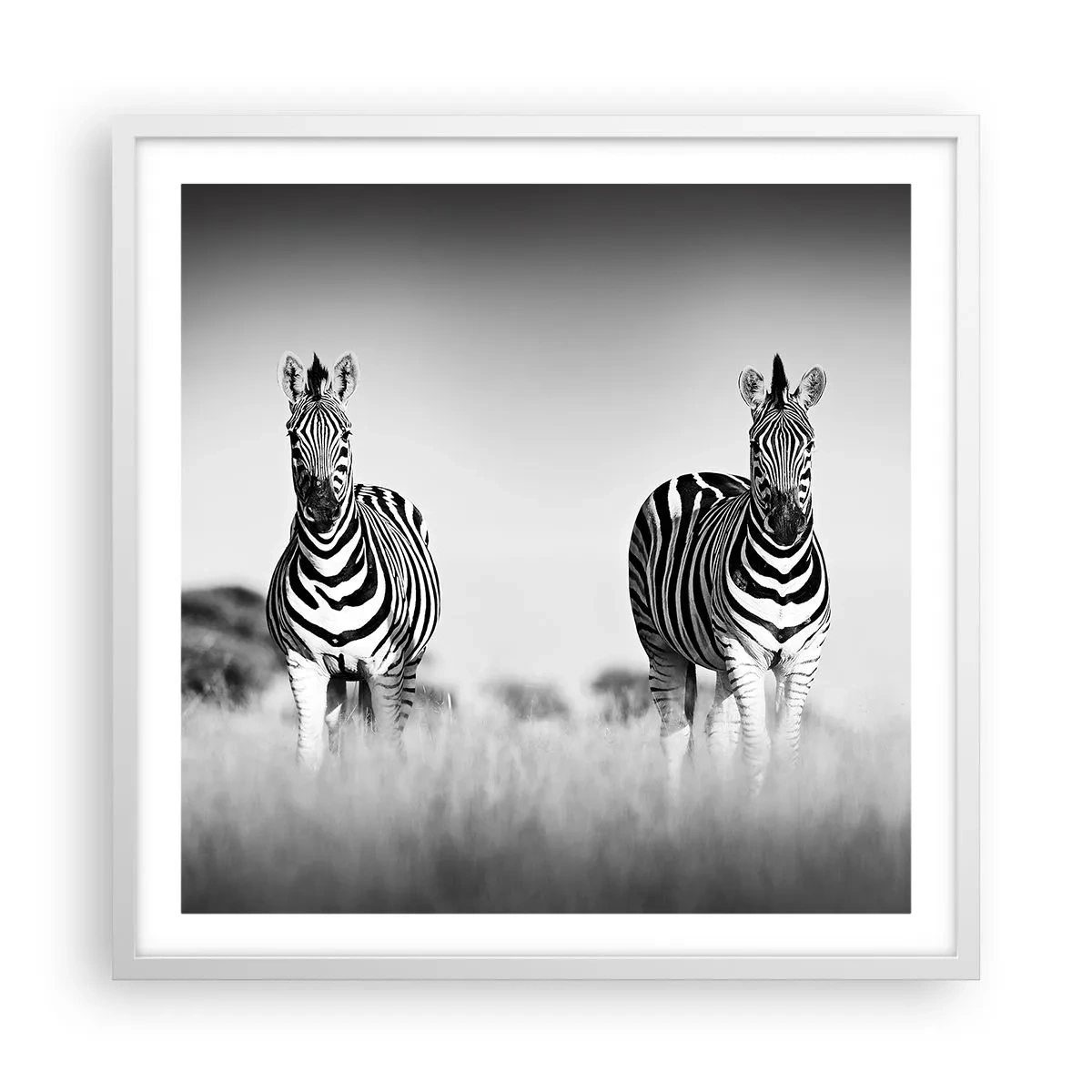 Póster en marco blanco - Resulta que el mundo es blanco y negro - 60x60 cm