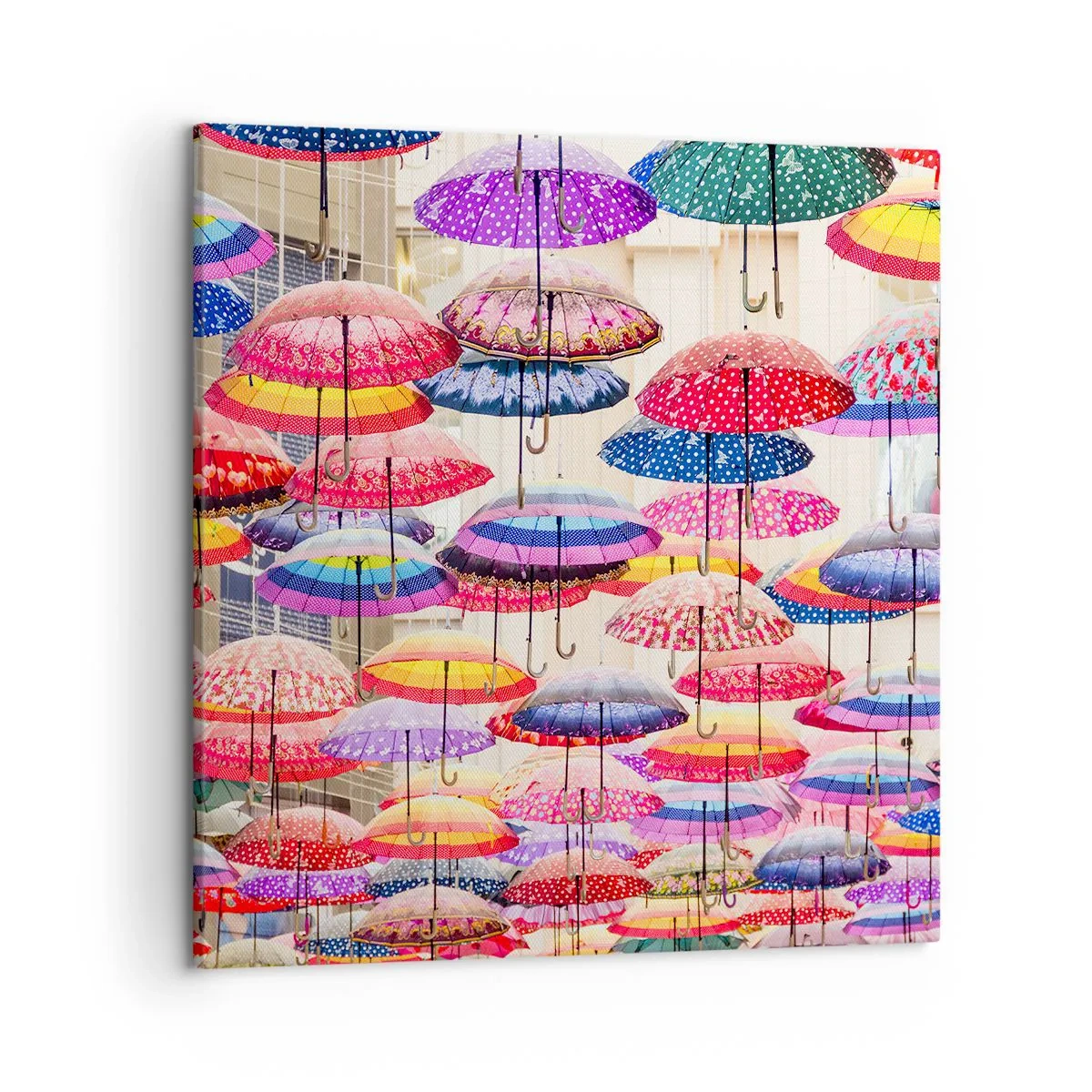 Cuadro sobre lienzo - Impresión de Imagen - Pradera urbana - 50x50 cm