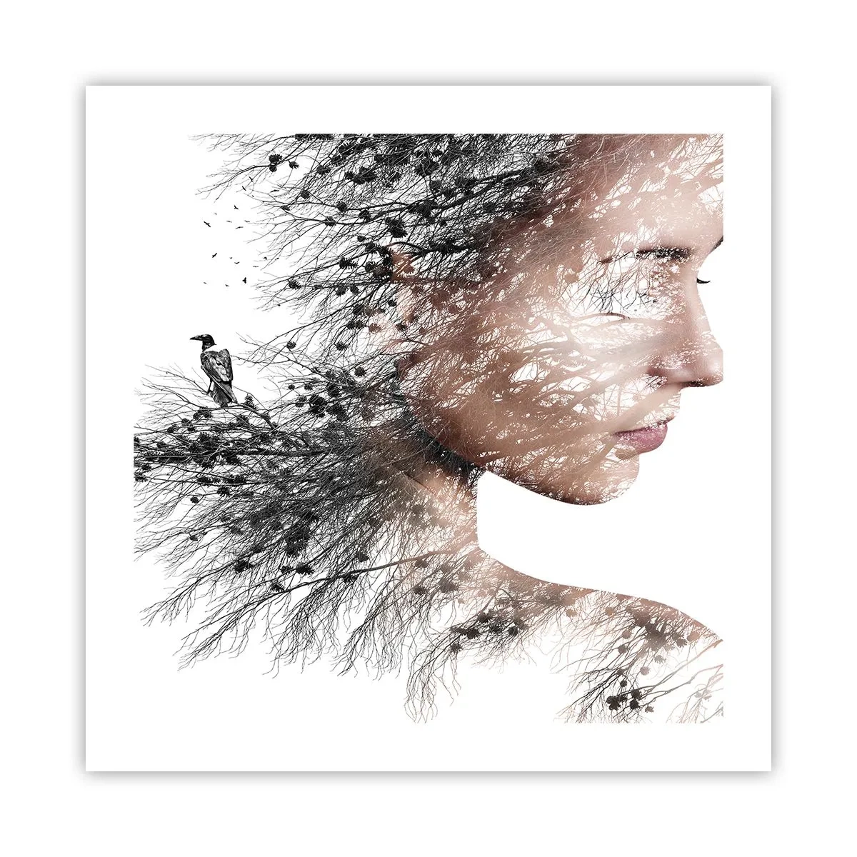 Póster - Espíritu del bosque - 50x50 cm