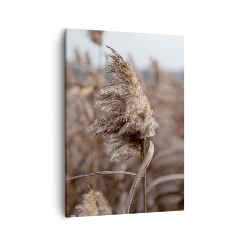 Cuadro sobre lienzo - Impresión de Imagen - Delicadas hierbas en tonos beige sobre el fondo de la naturaleza. - 50x70cm - Es hora de volar con el viento - Decoración de pared moderna para salón y dormitorio ARTTOR