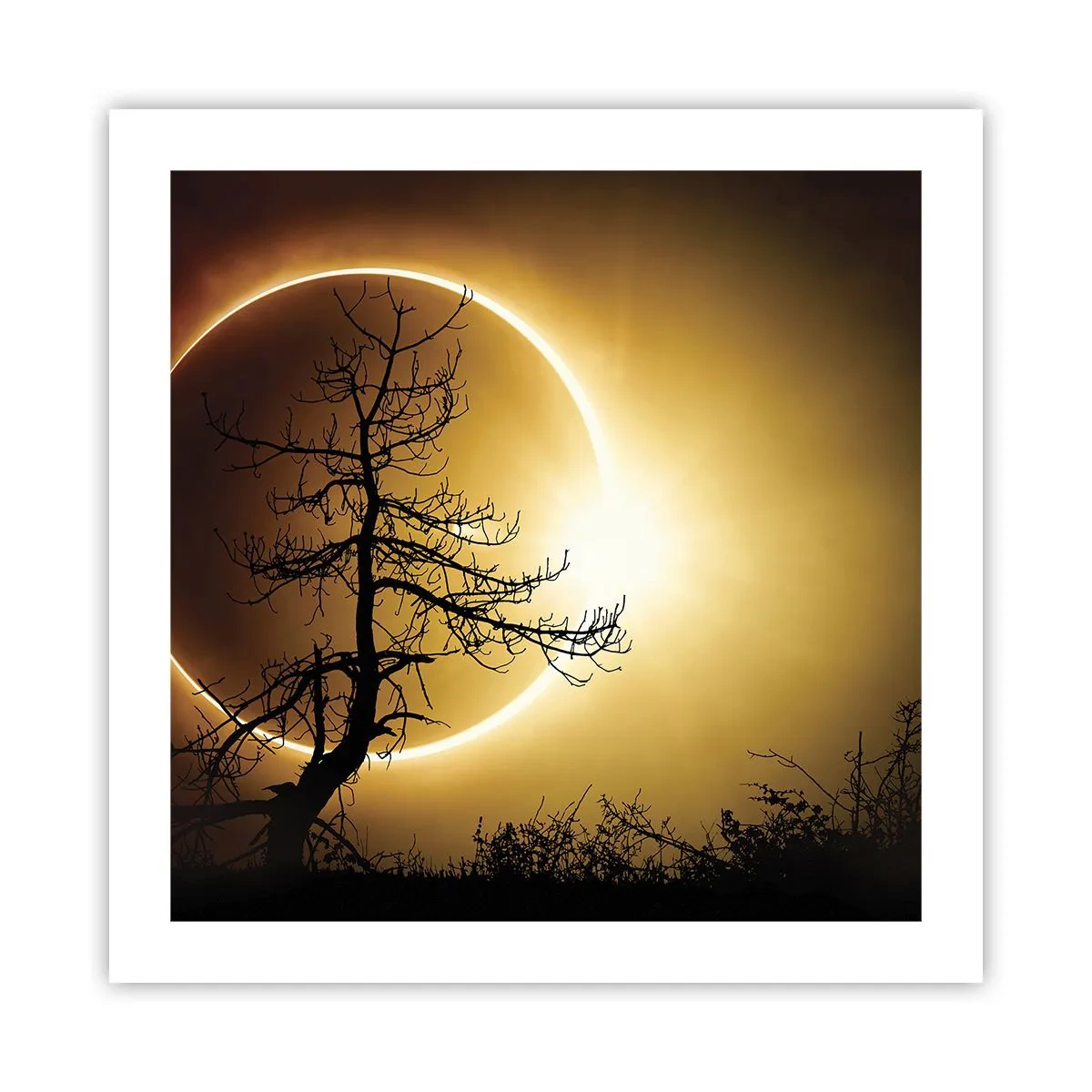 Póster - Eclipse total - 50x50 cm