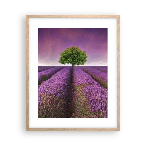 Póster en marco roble claro - En los campos de lavanda - 40x50 cm