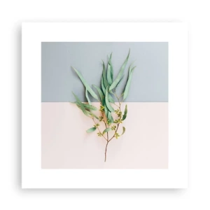 Póster - La sutileza del pastel - 30x30 cm