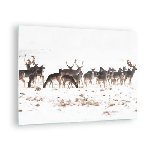 Cuadro sobre vidrio - Impresiones sobre Vidrio - Una fotografía de una manada de ciervos en un paisaje nevado. - 70x50cm - ¿Se acerca la Navidad? - Decoración de pared moderna para salón y dormitorio ARTTOR