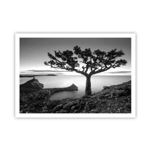 Póster - Paisaje en blanco y negro con un árbol solitario en un acantilado sobre el mar. - 100x70cm - Calma hasta el horizonte - Decoración de pared moderna para salón y dormitorio ARTTOR