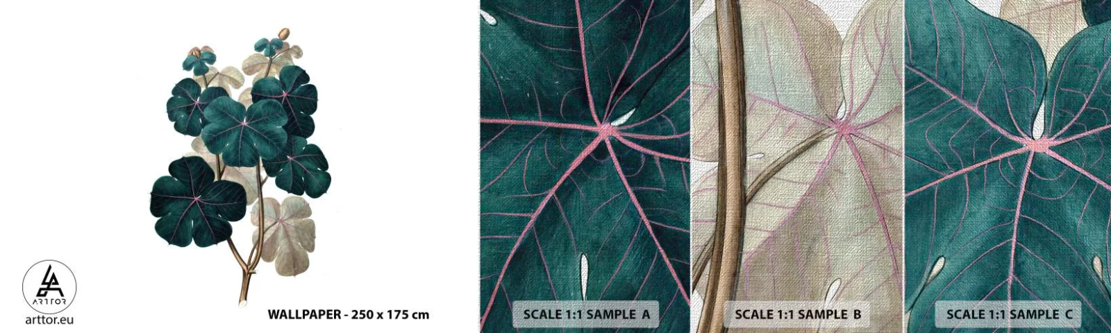 Muestra de fotomural Premium Canvas - De un viejo herbario - Planta, Hojas, Botánica - 100x30 cm