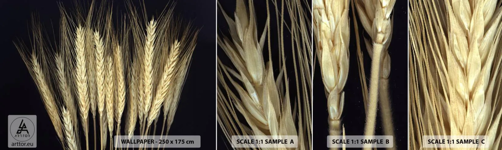 Muestra De Fotomural Standard Eco - Magia rústica - Cereal, Plantas, Naturaleza - 100x30 cm