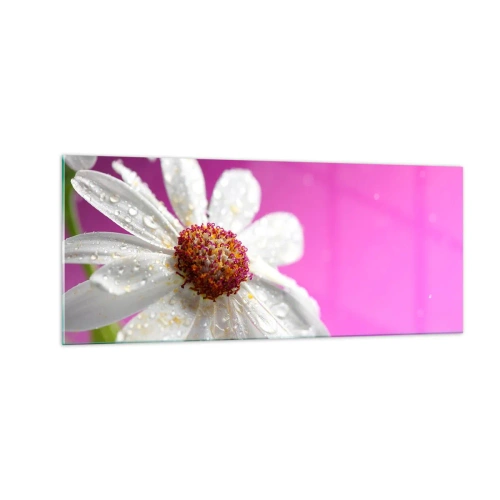 Cuadro sobre vidrio - Impresiones sobre Vidrio - Modesto en su belleza - 100x40 cm