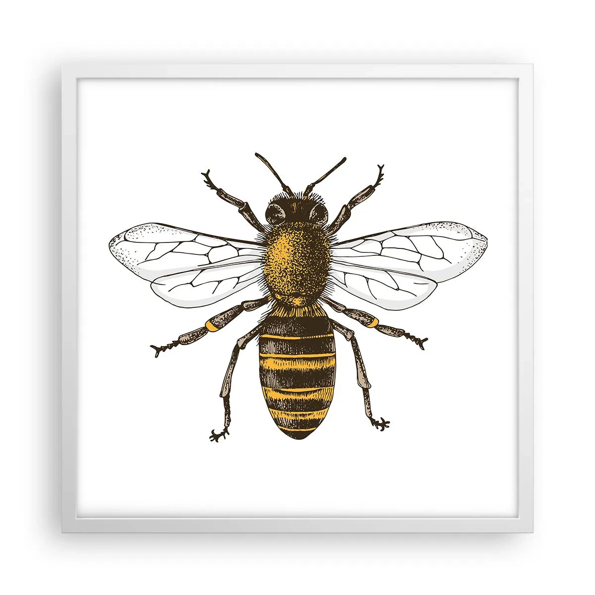 Póster en marco blanco - Bondad natural - 50x50 cm