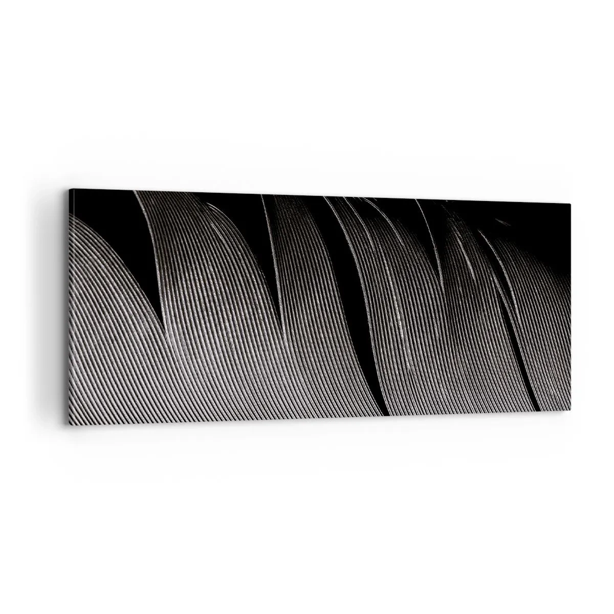 Cuadro sobre lienzo - Impresión de Imagen - Pluma - una construcción maravillosa - 100x40 cm