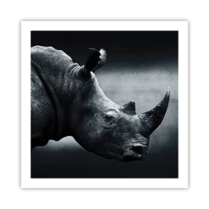 Póster - Perfil derecho - 60x60 cm