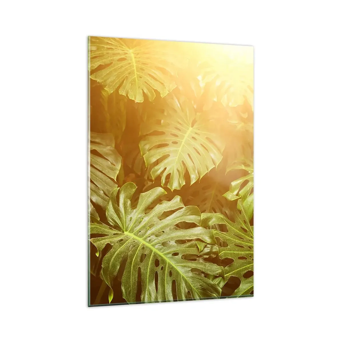 Cuadro sobre vidrio - Impresiones sobre Vidrio - Hojas de monstera a la luz del sol sobre un fondo natural. - 80x120cm - Hacia el verdor... - Decoración de pared moderna para salón y dormitorio ARTTOR