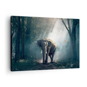 Cuadro sobre lienzo - Impresión de Imagen - Elefante en la luz del bosque - 70x50cm - Un paseo tranquilo - Decoración de pared moderna para salón y dormitorio ARTTOR