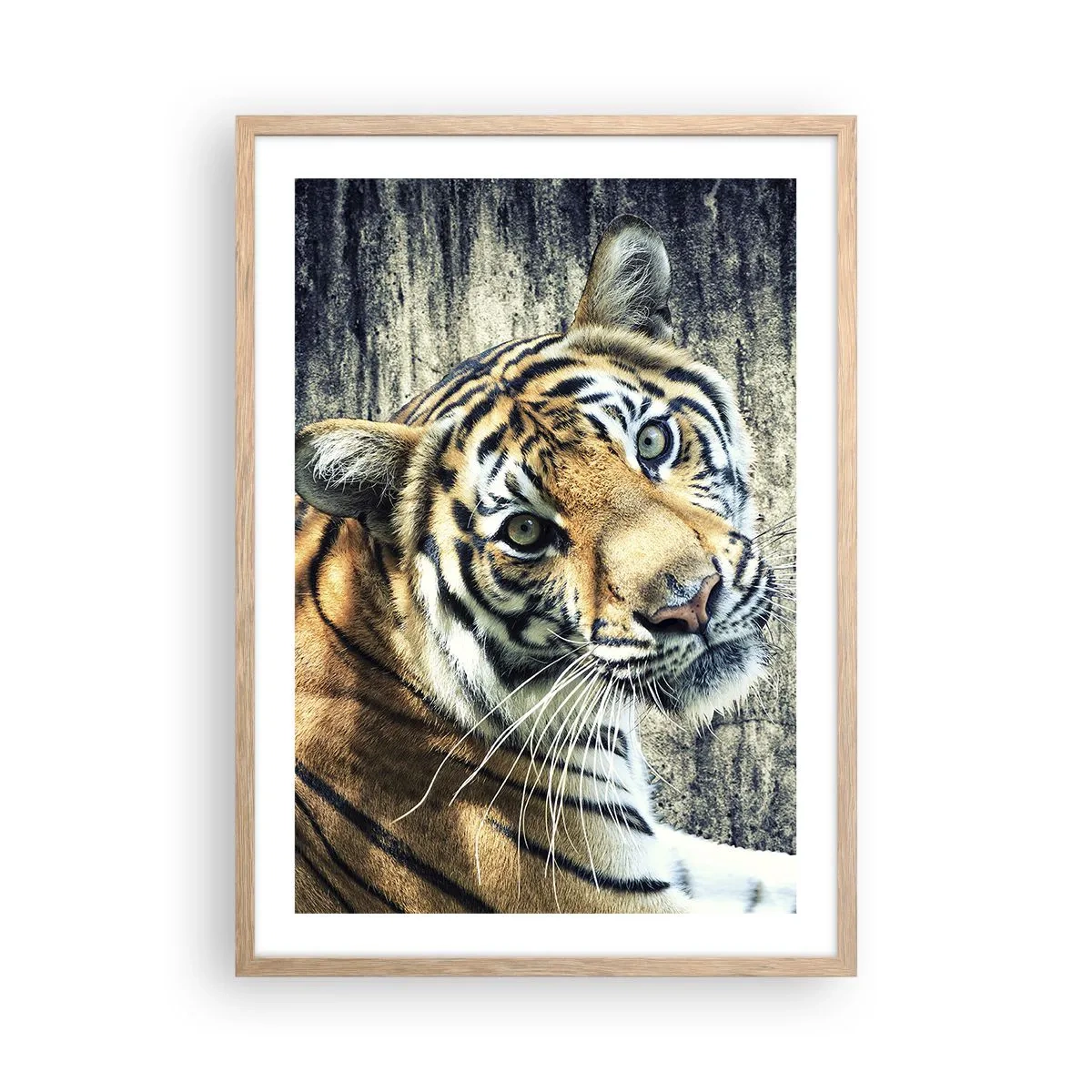 Póster en marco roble claro - Retrato en corrientes de luz - 50x70 cm