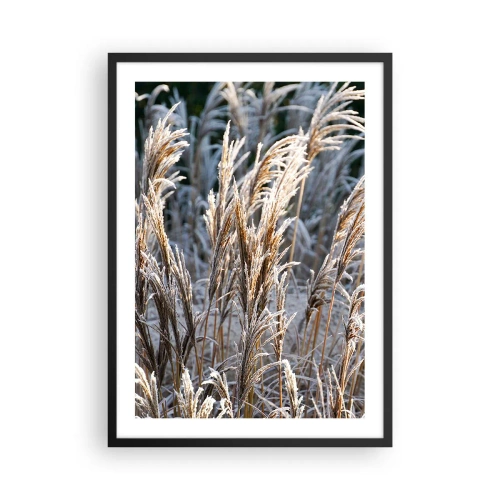 Póster en marco negro - Hierbas secas cubiertas de escarcha en un paisaje invernal - 50x70cm - Campos y campos - Decoración de pared moderna para salón y dormitorio ARTTOR