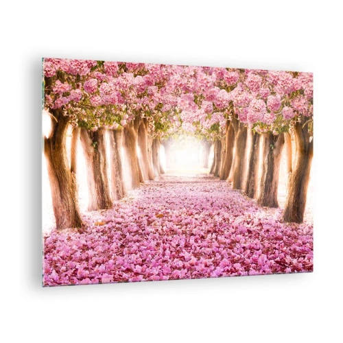 Cuadro sobre vidrio - Impresiones sobre Vidrio - Una avenida de árboles en flor con pétalos rosados en el suelo. - 70x50cm - El camino al paraíso - Decoración de pared moderna para salón y dormitorio ARTTOR