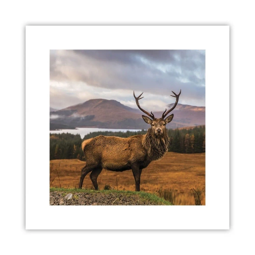 Póster - La majestuosidad de la naturaleza - 30x30 cm