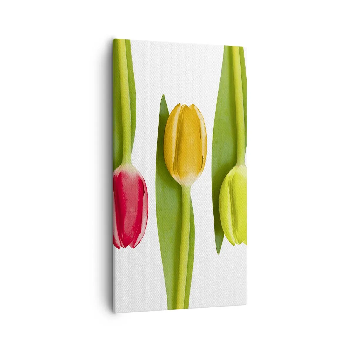 Cuadro sobre lienzo - Impresión de Imagen - Composición del arco iris - 55x100 cm