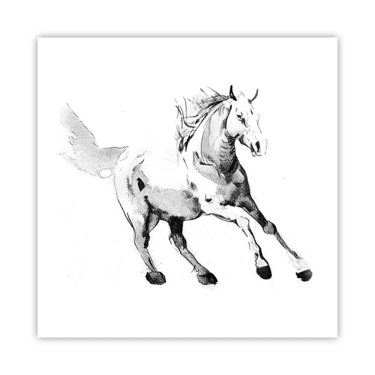 Póster - Alma indómita - 50x50 cm