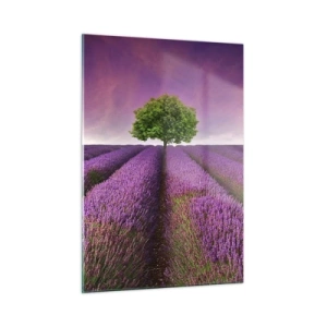 Cuadro sobre vidrio - Impresiones sobre Vidrio - Un campo de lavanda con un árbol solitario contra el cielo. - 50x70cm - En los campos de lavanda - Decoración de pared moderna para salón y dormitorio ARTTOR