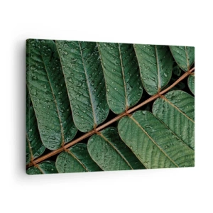 Cuadro sobre lienzo - Impresión de Imagen - Fotografía macro de hojas verdes con gotas de rocío. - 70x50cm - En un ritmo verde - Decoración de pared moderna para salón y dormitorio ARTTOR