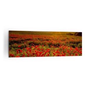 Cuadro sobre lienzo - Impresión de Imagen - Un campo de amapolas rojas bajo el resplandor del sol poniente. - 160x50cm - Entre los campos de flores - Decoración de pared moderna para salón y dormitorio ARTTOR