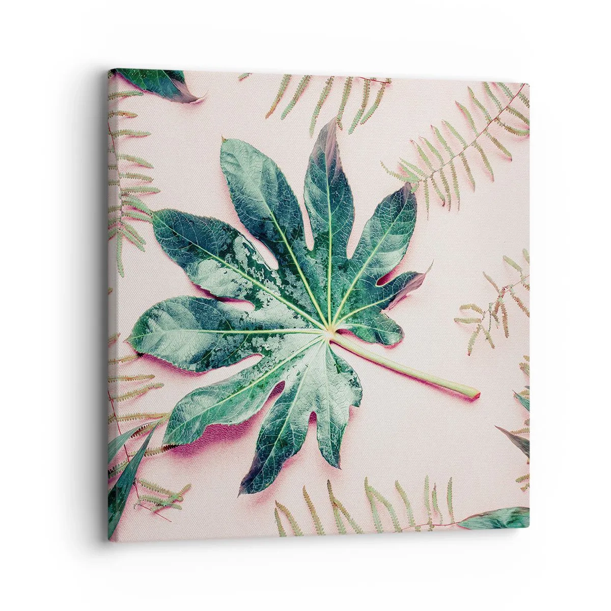 Cuadro sobre lienzo - Impresión de Imagen - Estudio de vegetación sobre fondo rosa - 30x30 cm