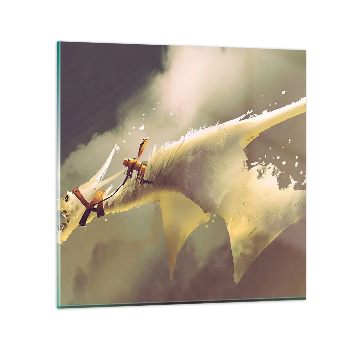 Cuadro sobre vidrio - Impresiones sobre Vidrio - Al rescate - 50x50 cm