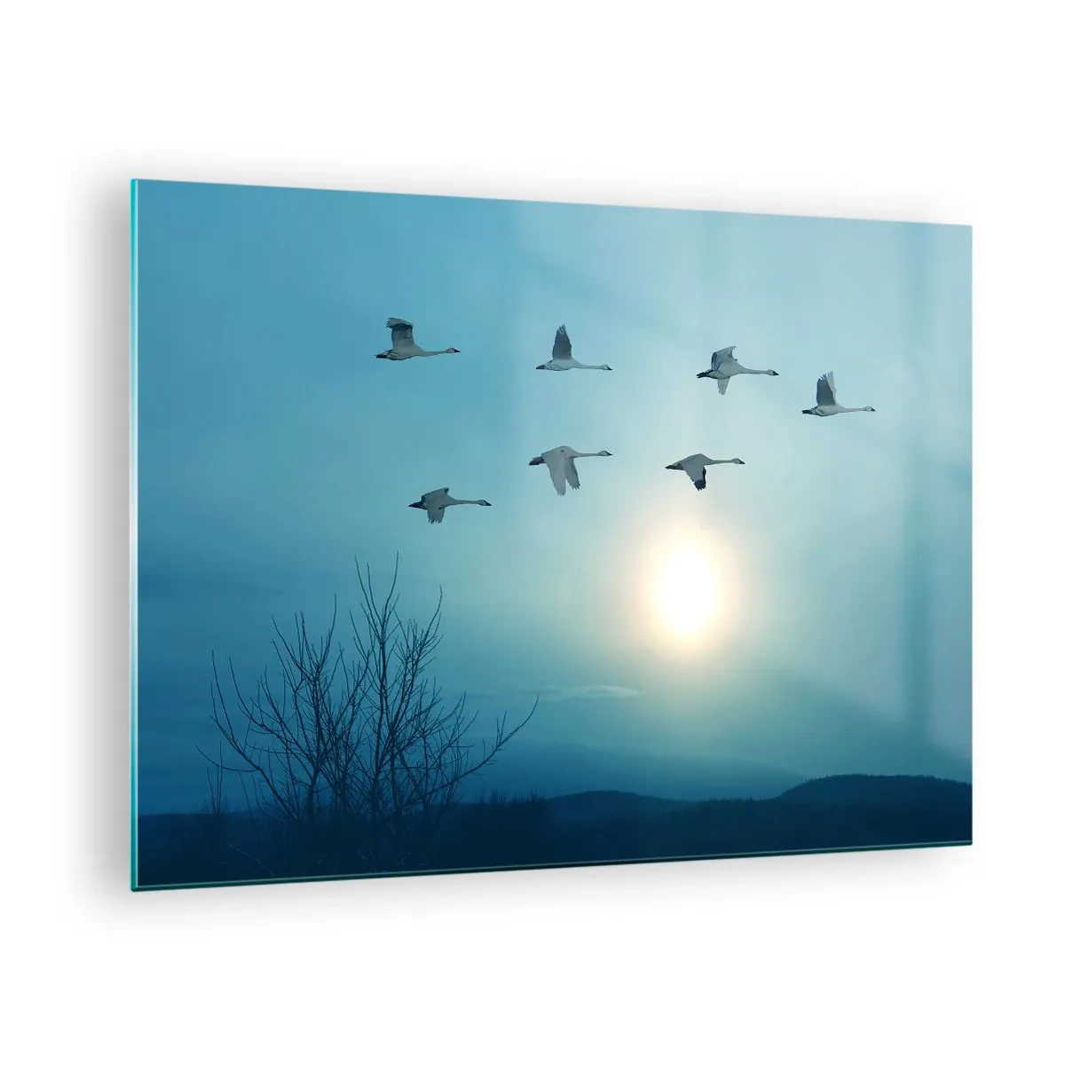 Cuadro sobre vidrio - Impresiones sobre Vidrio - Cisnes volando con el sol poniente como telón de fondo y un paisaje invernal. - 70x50cm - Adiós al verano por un año - Decoración de pared moderna para salón y dormitorio ARTTOR