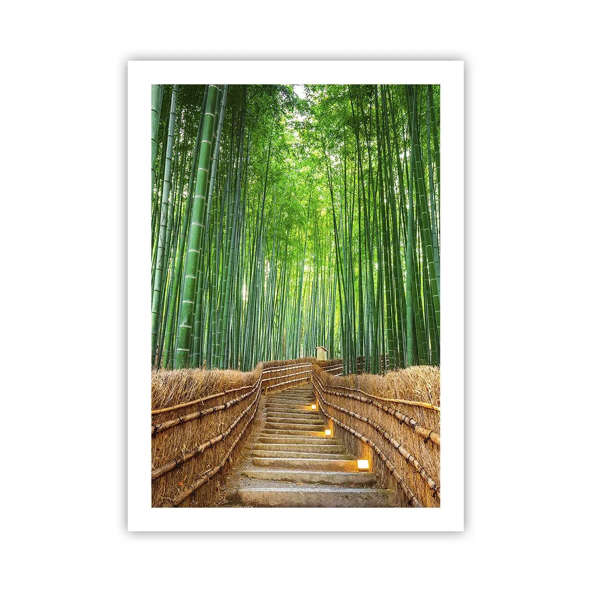 Póster - Camino a través del bosque de bambú con iluminación. - 50x70cm - La esencia de la naturaleza asiática - Decoración de pared moderna para salón y dormitorio ARTTOR