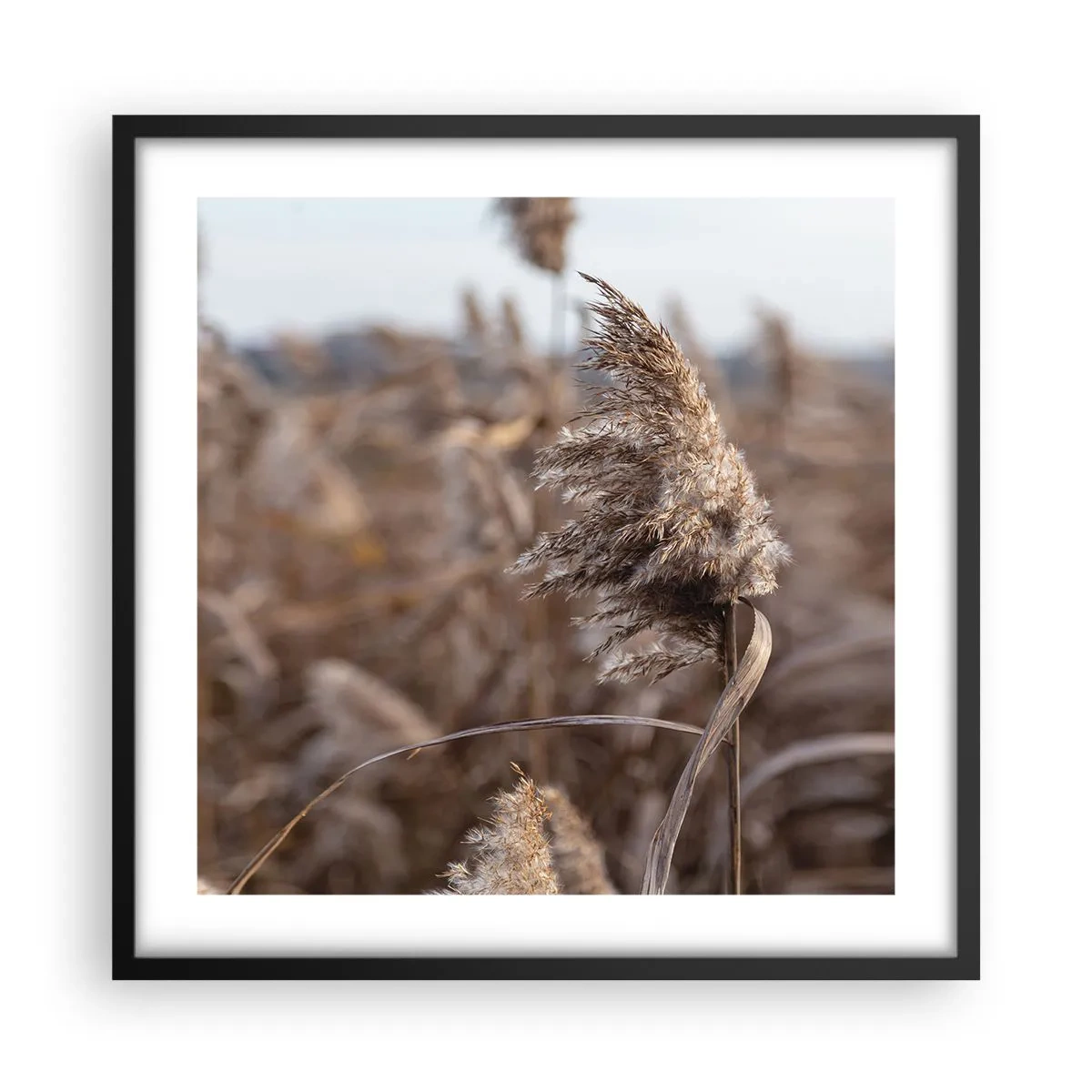 Póster en marco negro - Es hora de volar con el viento - 50x50 cm