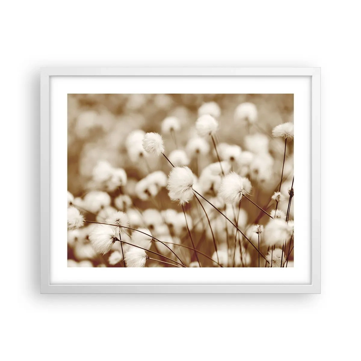 Póster en marco blanco - Un mullido colchón - 50x40 cm