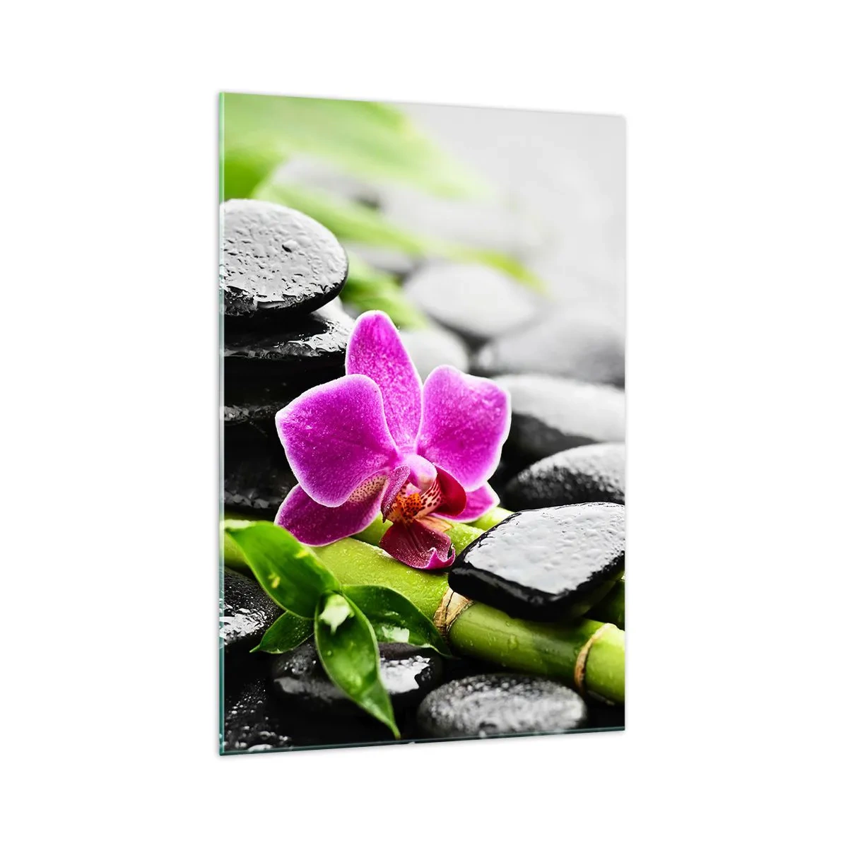 Cuadro sobre vidrio - Impresiones sobre Vidrio - Orquídea morada, piedras negras y bambú en una composición tranquila. - 70x100cm - En equilibrio pacífico - Decoración de pared moderna para salón y dormitorio ARTTOR