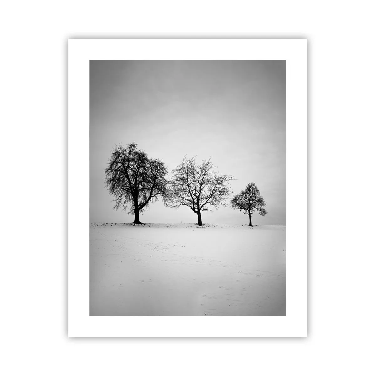 Póster - ¿Con qué sueñan? - 40x50 cm