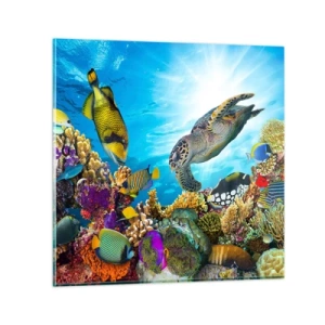 Cuadro sobre vidrio - Impresiones sobre Vidrio - Paseo del coral - 50x50 cm