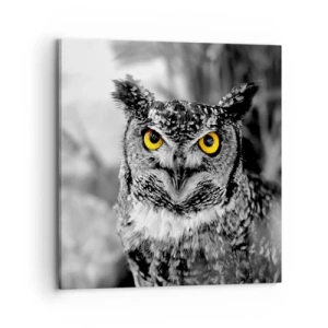 Cuadro sobre lienzo - Impresión de Imagen - Nada se puede ocultar - 70x70 cm