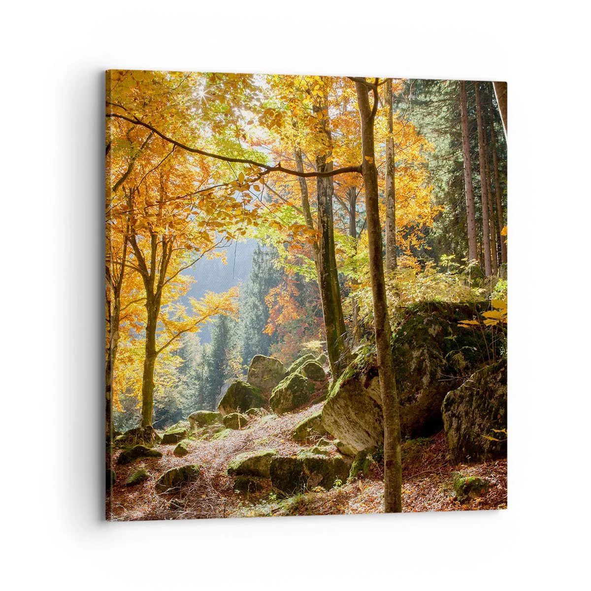 Cuadro sobre lienzo - Impresión de Imagen - Tiempo de descanso - 70x70 cm