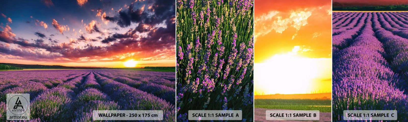 Muestra de fotomural autoadhesivo Deluxe Sticker - El mundo de la lavanda - Paisaje, campo de lavanda, Lavanda - 100x30 cm