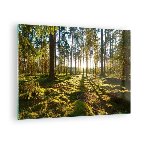 Cuadro sobre vidrio - Impresiones sobre Vidrio - Los rayos del sol penetran a través de los árboles en el bosque. - 70x50cm - ...Más allá de los siete bosques - Decoración de pared moderna para salón y dormitorio ARTTOR